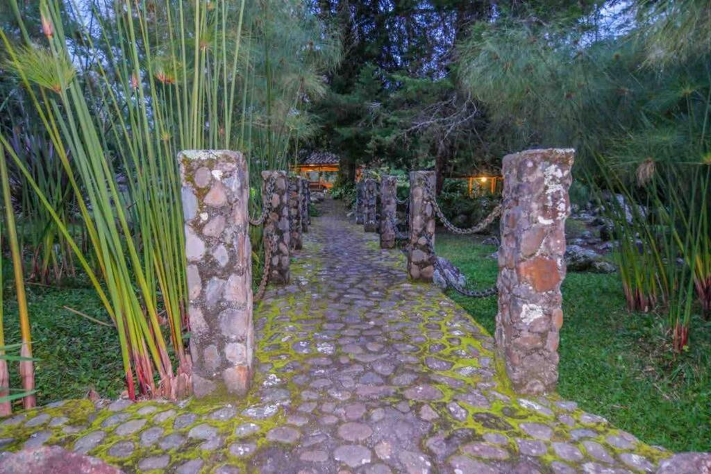 Villa Finca Punta De Piedra Salento, Quindio Extérieur photo