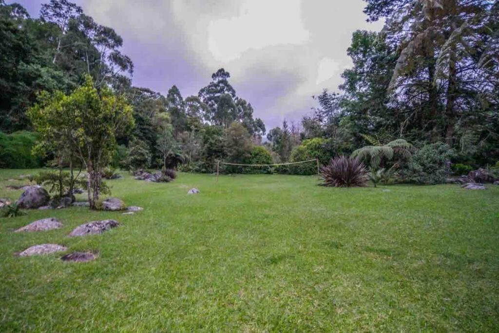 Villa Finca Punta De Piedra Salento, Quindio Extérieur photo