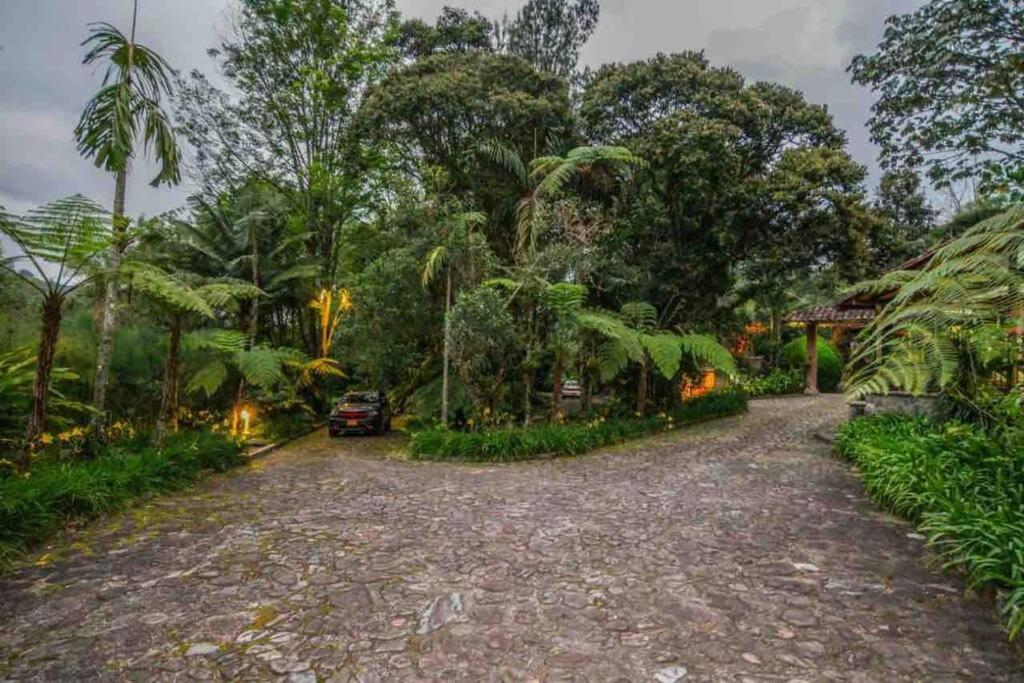 Villa Finca Punta De Piedra Salento, Quindio Extérieur photo